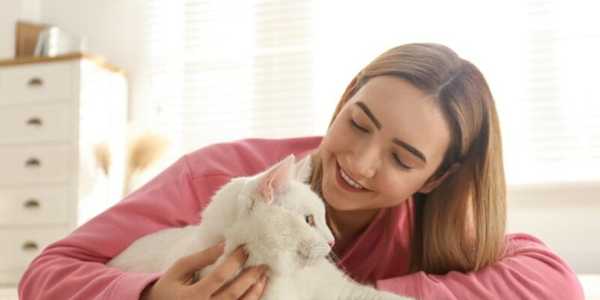 How To Create A Relaxing Indoor Environment For Your Cat