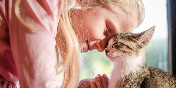 Cat'S Body Language: What Your Cat Is Trying To Tell You