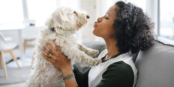 10 Essential Tips And Tricks For First-Time Dog Owners